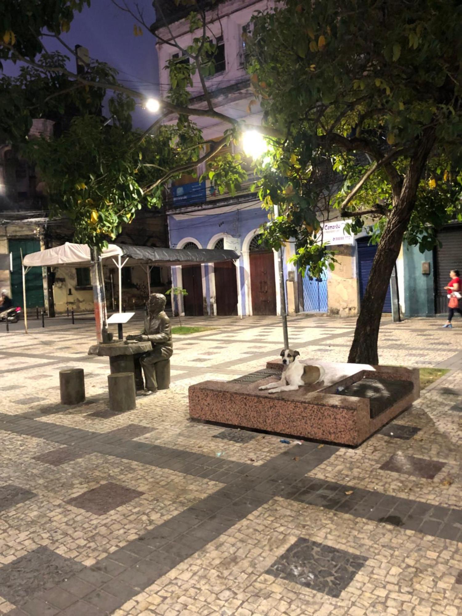 Seu Borba &